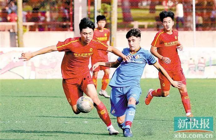 广东媒体聚焦篮球亚冠,媒体聚焦专栏