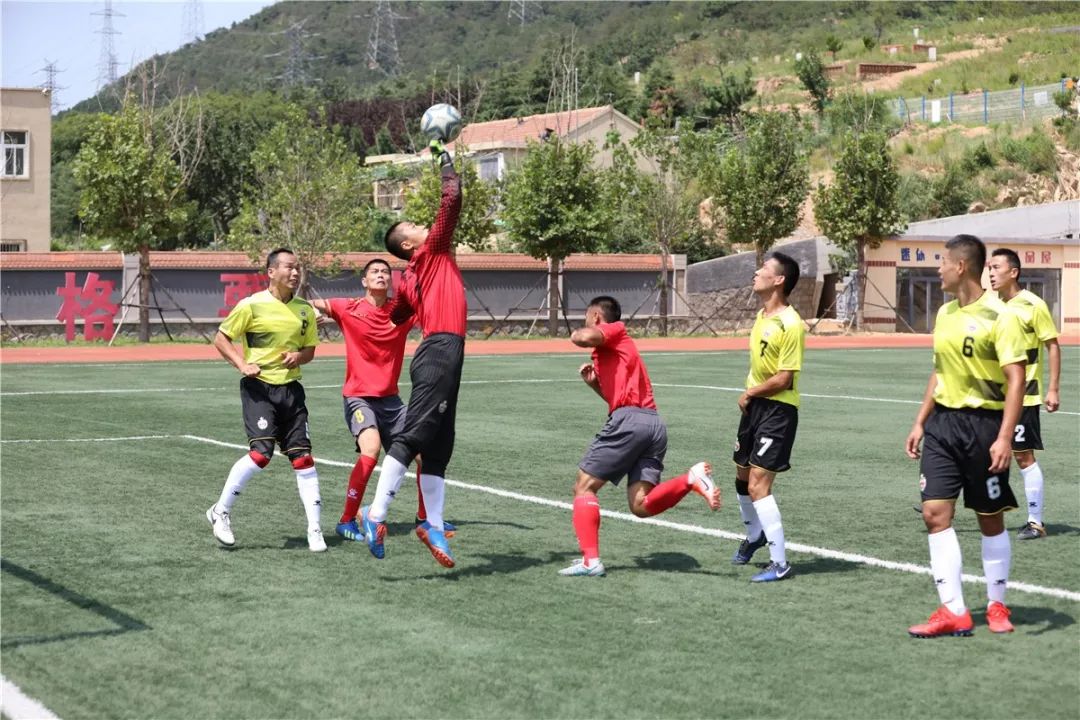 卫士动力组,卫士动力多强