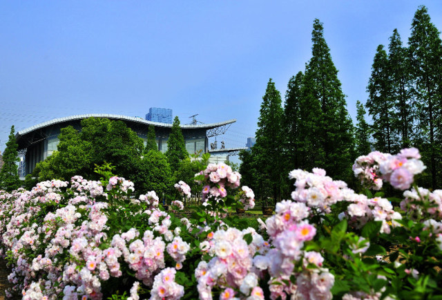 @2019级水之子，多图带你们提前逛河海～