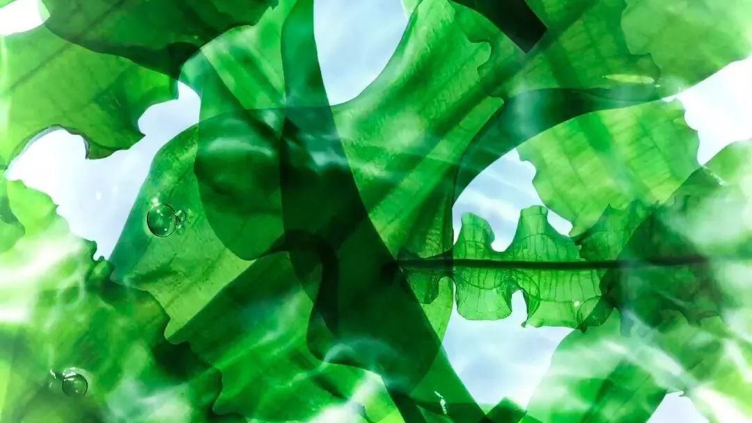 麻范儿好物|1片=12.5瓶安瓶精华的玻尿酸面膜,不到5块钱,效果堪比水光针