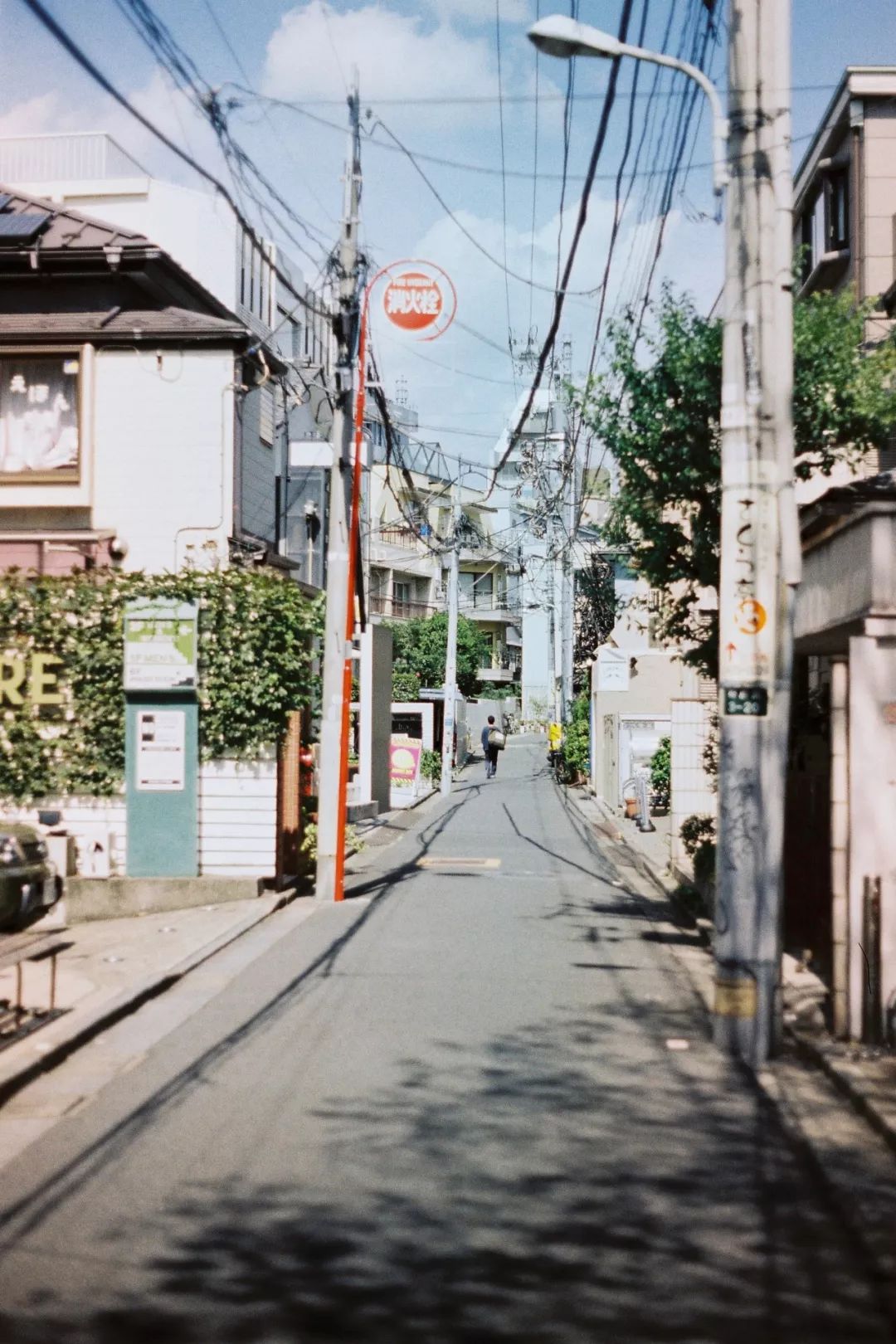 你愿意花3000买一双帆布鞋吗,你愿意花1000元买只猫吗