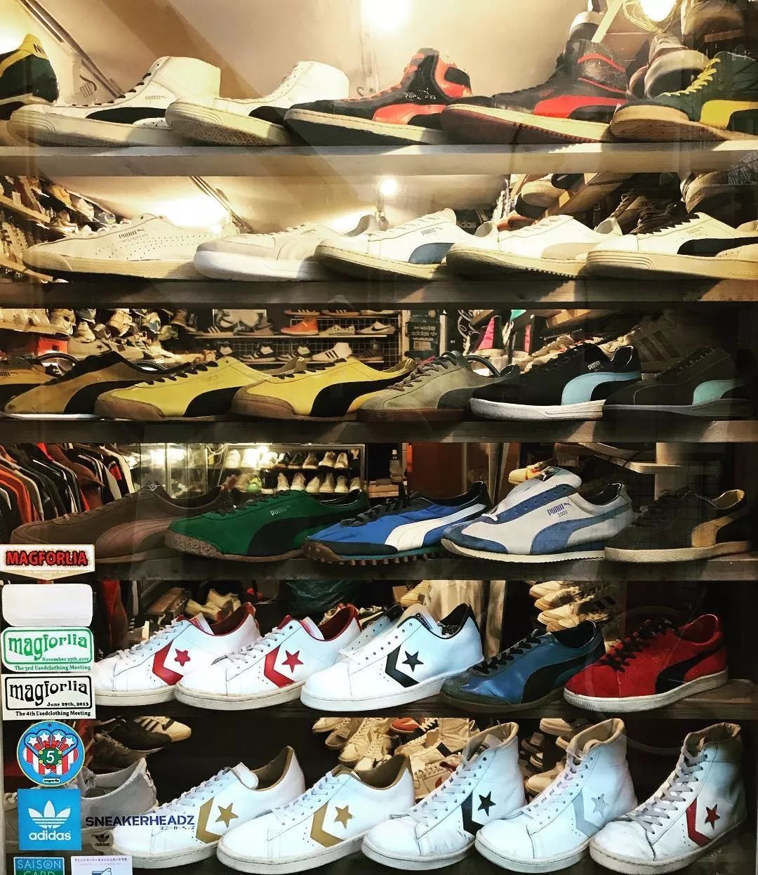 你愿意花3000买一双帆布鞋吗,你愿意花1000元买只猫吗