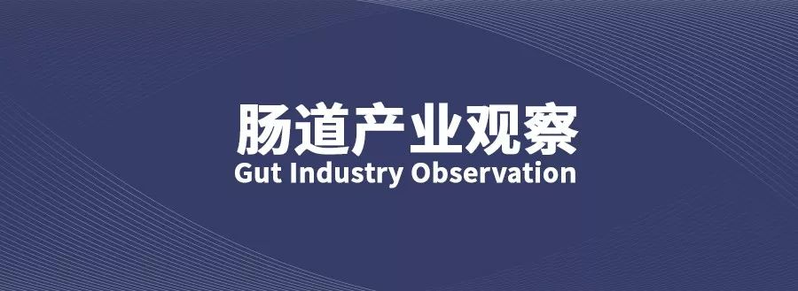 菊粉的最新消息,菊粉被纳入国家战略