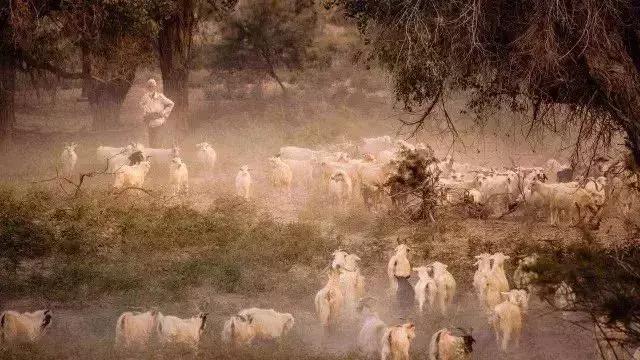 *疆新**于田县：中国最难到达村落！“死亡之海”腹地，消失2000余年