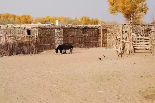 *疆新**于田县：中国最难到达村落！“死亡之海”腹地，消失2000余年