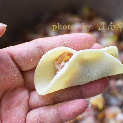 隔着屏幕都能闻到香香的饺子味道,白菜牛肉饺教程分享