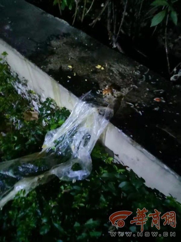 西安市小区内乱扔垃圾,西安小区垃圾事件