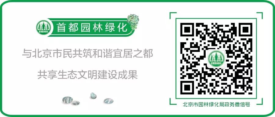 科普植物篇,科普遮阴植物