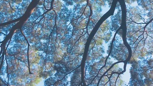 中国进步最快高校!深圳大学到底有多牛?