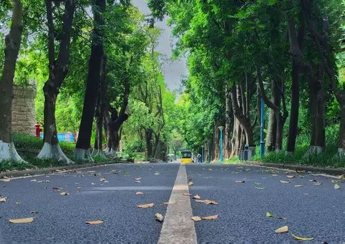 中国进步最快高校！深圳大学到底有多牛？