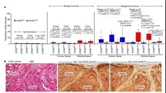 44岁的她竟睡服半个娱乐圈，被亿万直男跪舔！遭小S妒忌十年：凭什么
