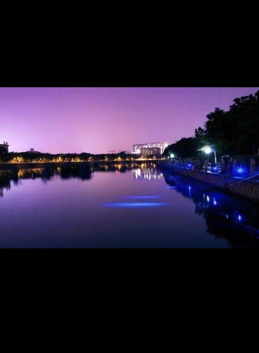 老司机钓鱼视频调漂教程,钓鱼老司机教你两招