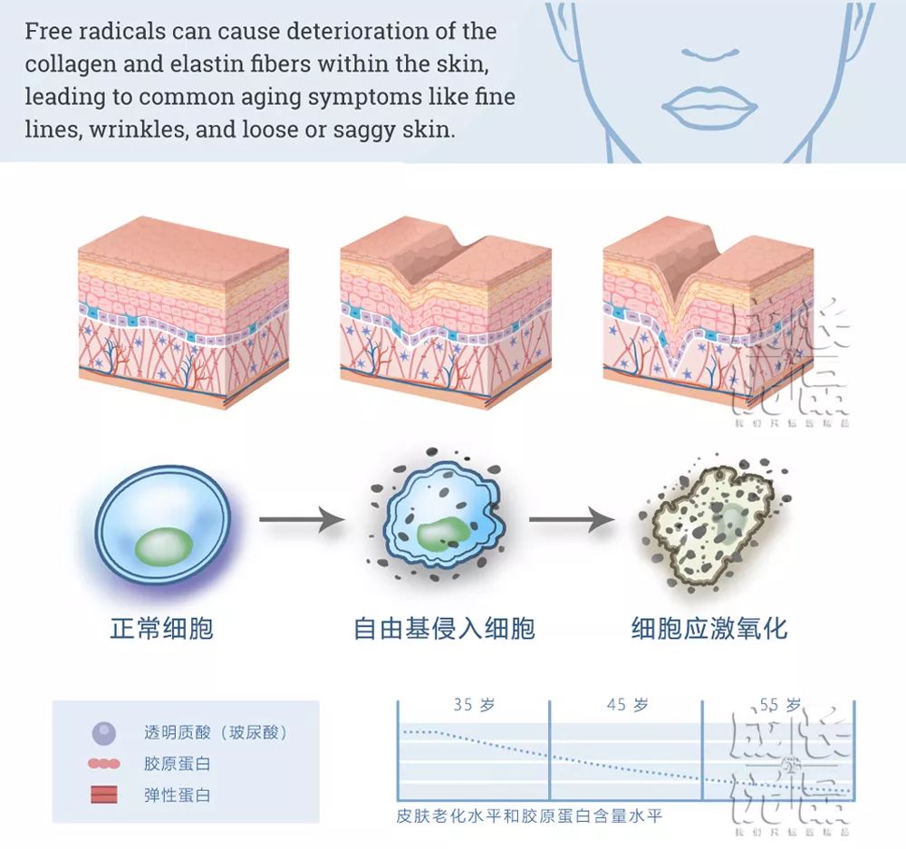 用它洗脸,脏东西自己浮出来,比做10次面膜还管用!丨开团