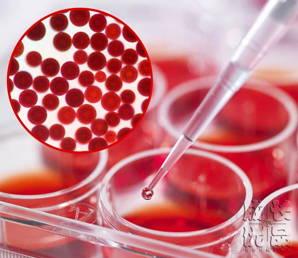 用它洗脸,脏东西自己浮出来,比做10次面膜还管用!丨开团