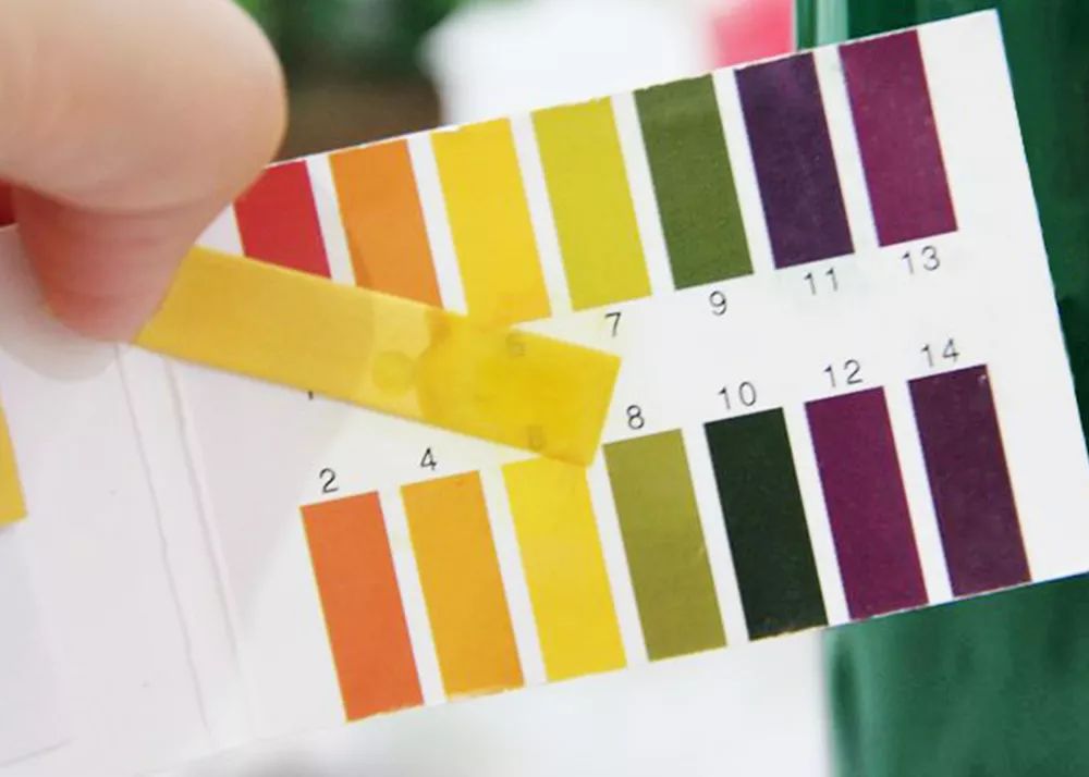 用它洗脸,脏东西自己浮出来,比做10次面膜还管用!丨开团