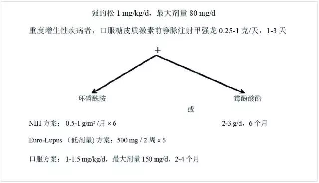 狼疮肾炎诊断及治疗进展,狼疮性肾炎怎么治疗