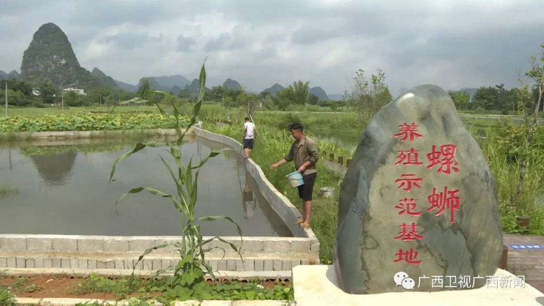 被马云看上的年轻人,被马云看上的人