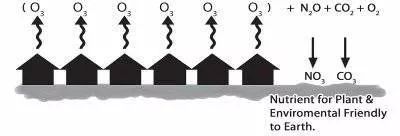 自制的食用的环保酵素,环保酵素家庭做法
