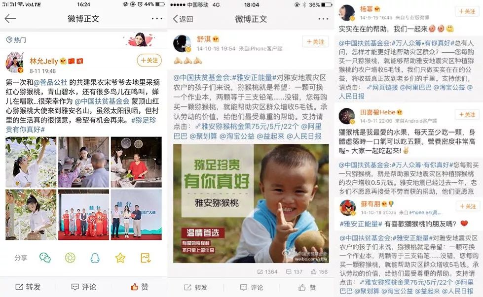 好甜的红心猕猴桃,野生猕猴桃好甜