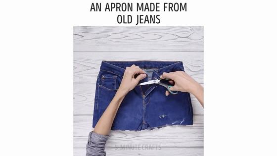 在家种菜，不用土不用肥，“一张纸”就搞定