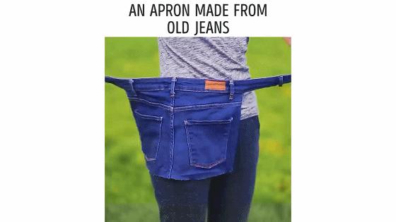 在家种菜，不用土不用肥，“一张纸”就搞定