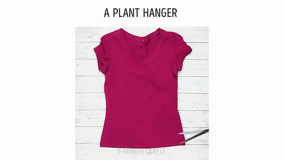 在家种菜，不用土不用肥，“一张纸”就搞定