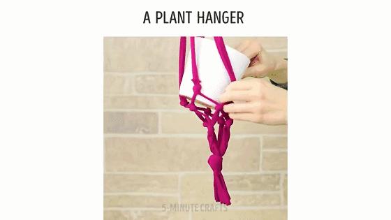 在家种菜，不用土不用肥，“一张纸”就搞定