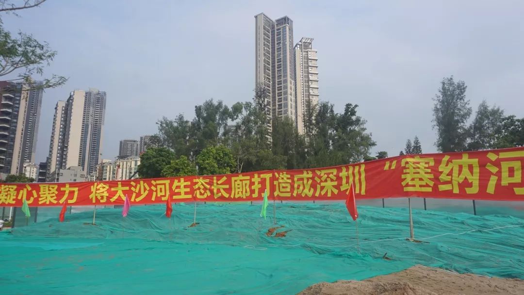 深圳最美塞纳河图片,深圳塞纳河最美景观河