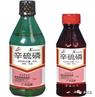 花白鲢鱼败血症怎么防治,花白鲢败血病用什么药