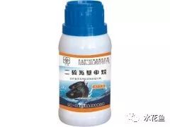 花白鲢鱼败血症怎么防治,花白鲢败血病用什么药