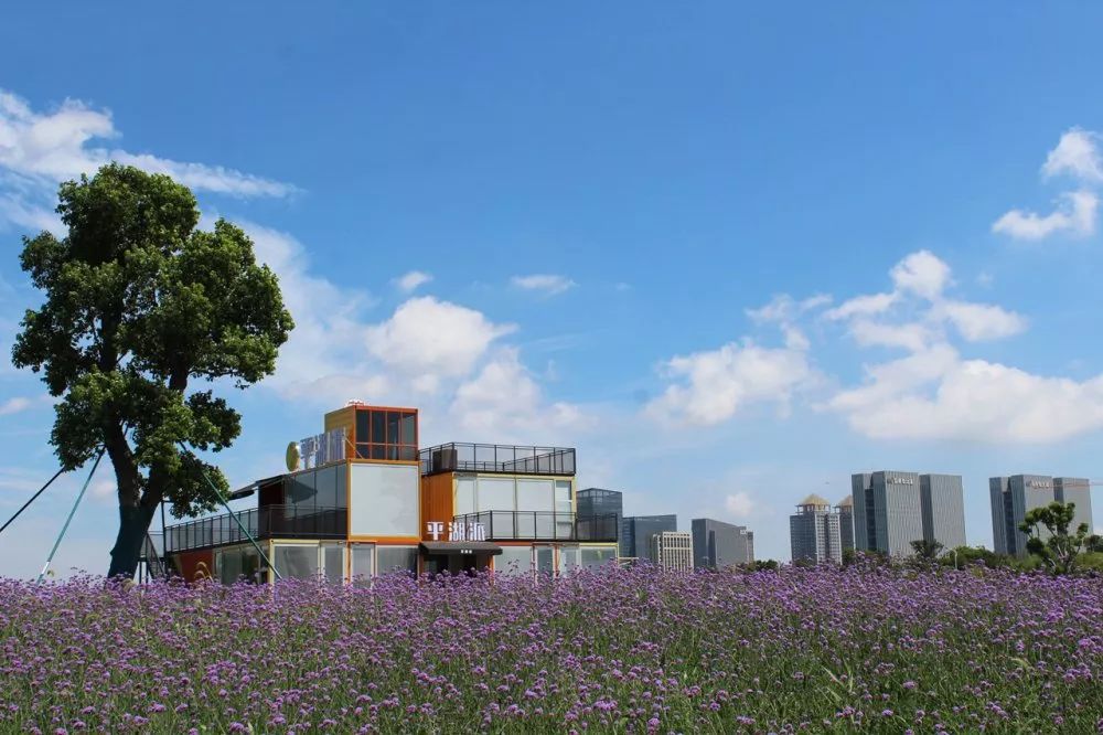 9.9元抢「平湖在线旗下咖啡馆」平湖派黑金卡1张！持卡可享受充300送200，办理当天即可获赠最高价值35元饮品一杯