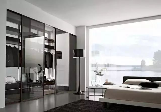 适合年轻人的衣柜玻璃门,最新流行的衣柜极简玻璃门