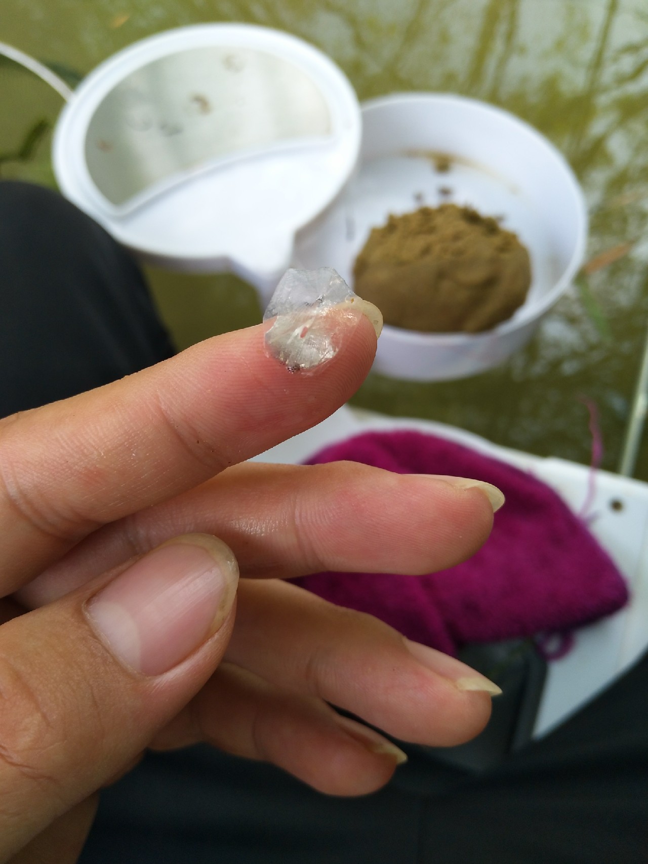 新竿开光遇到大鱼,新竿开光成功视频