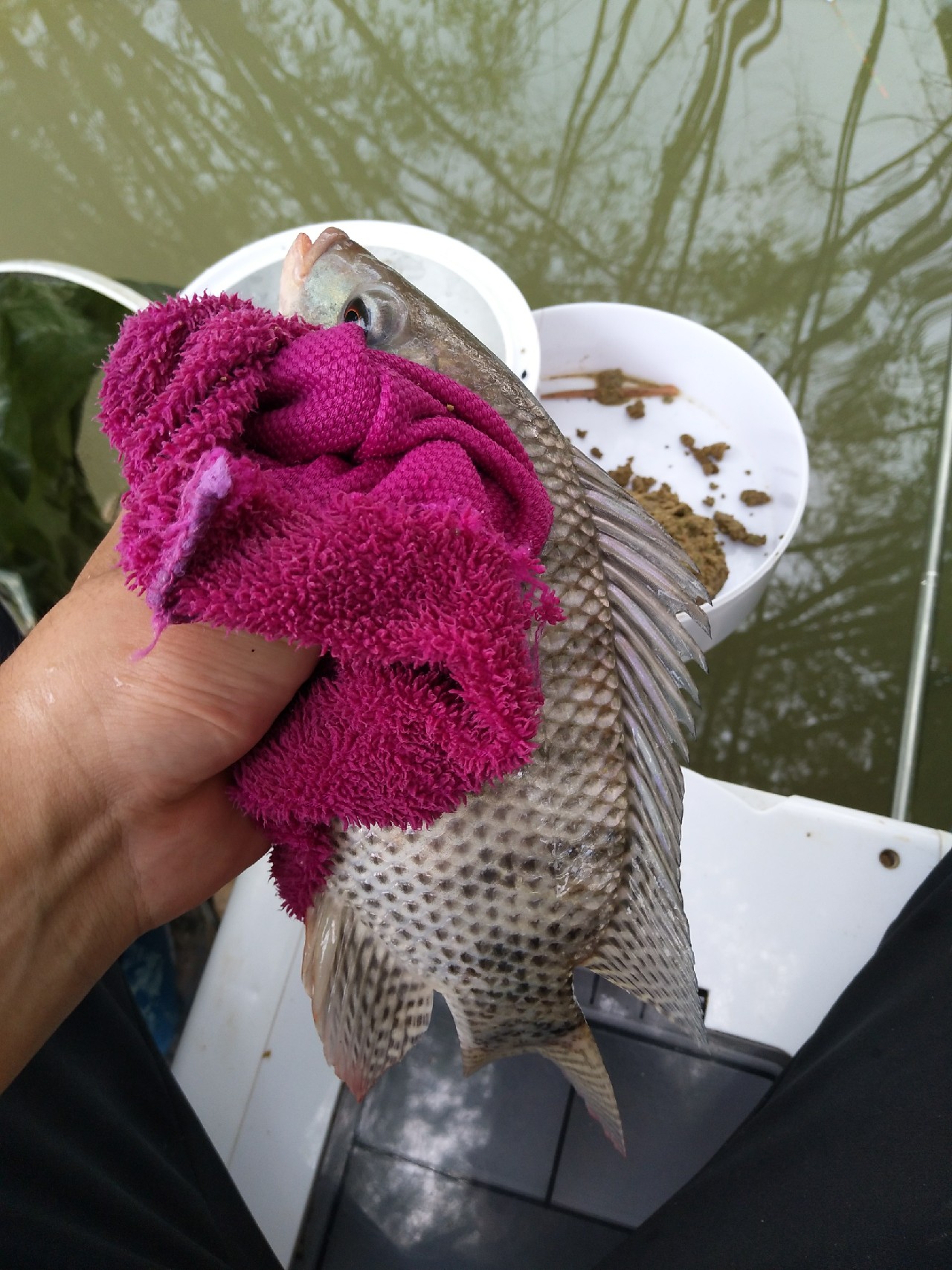 新竿开光遇到大鱼,新竿开光成功视频