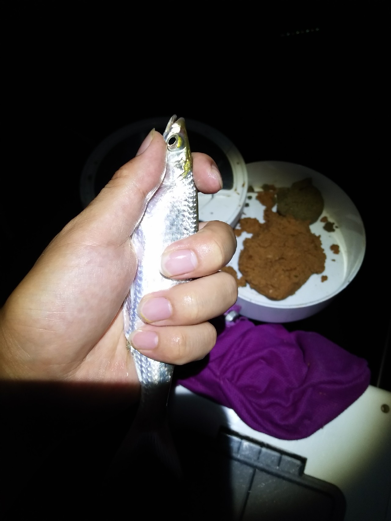 新竿开光遇到大鱼,新竿开光成功视频