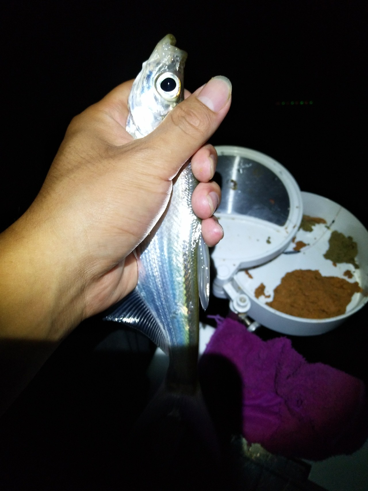 新竿开光遇到大鱼,新竿开光成功视频