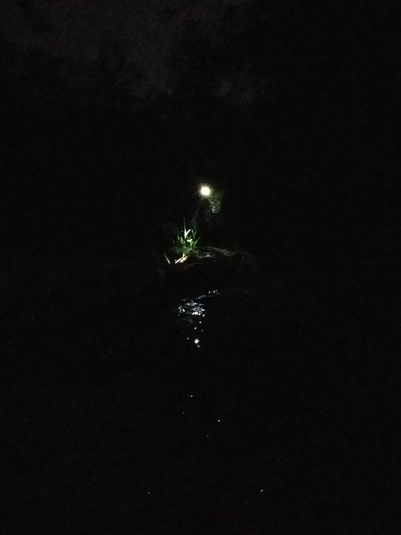 新竿开光遇到大鱼,新竿开光成功视频