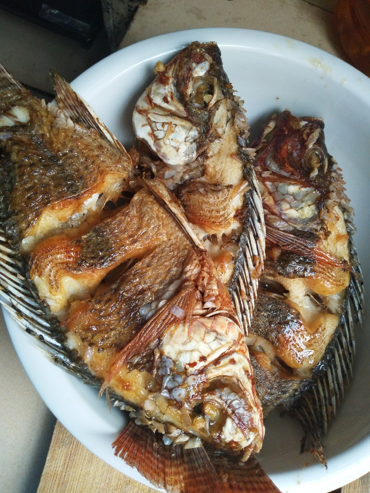 新竿开光遇到大鱼,新竿开光成功视频