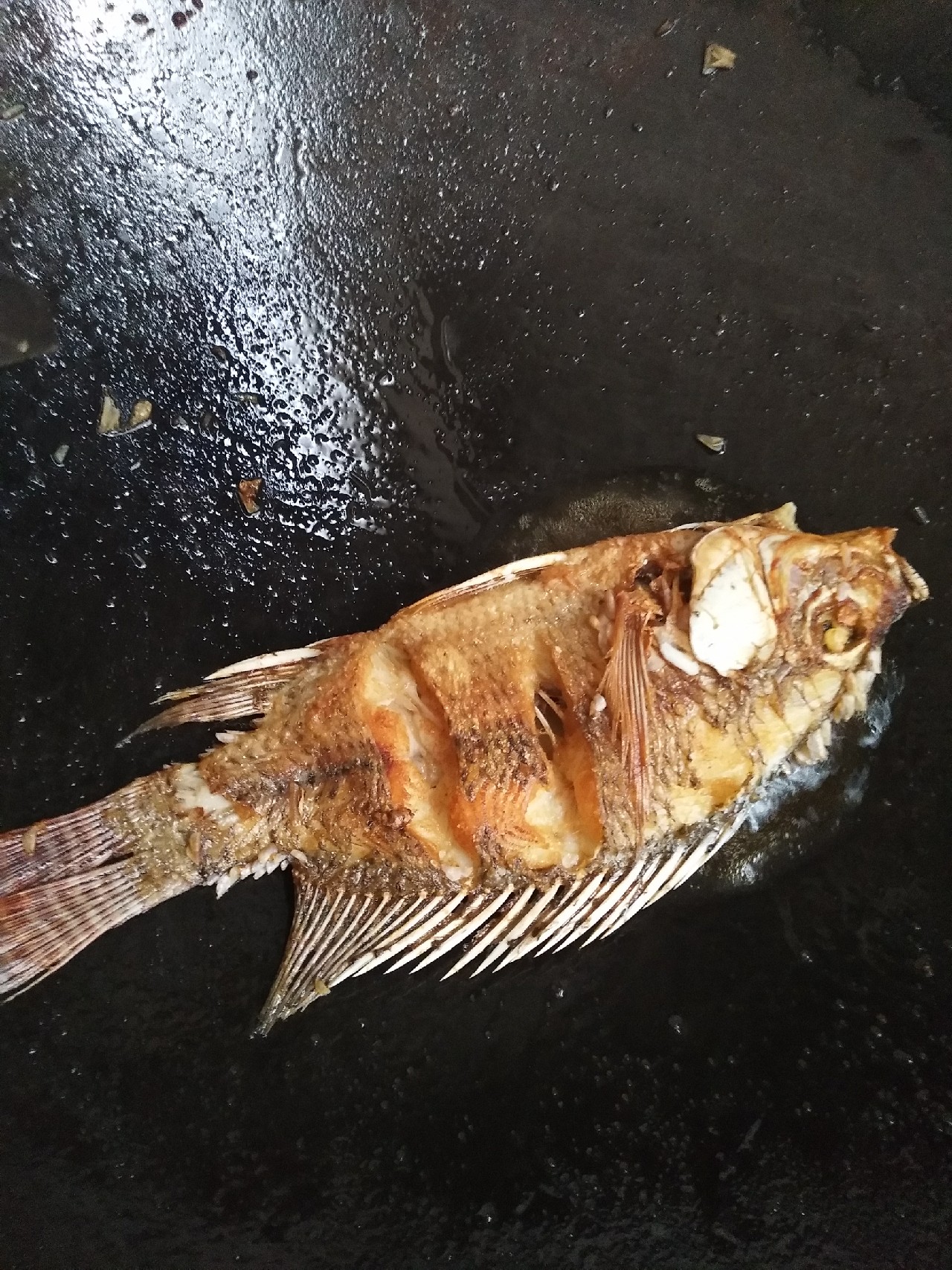 新竿开光遇到大鱼,新竿开光成功视频