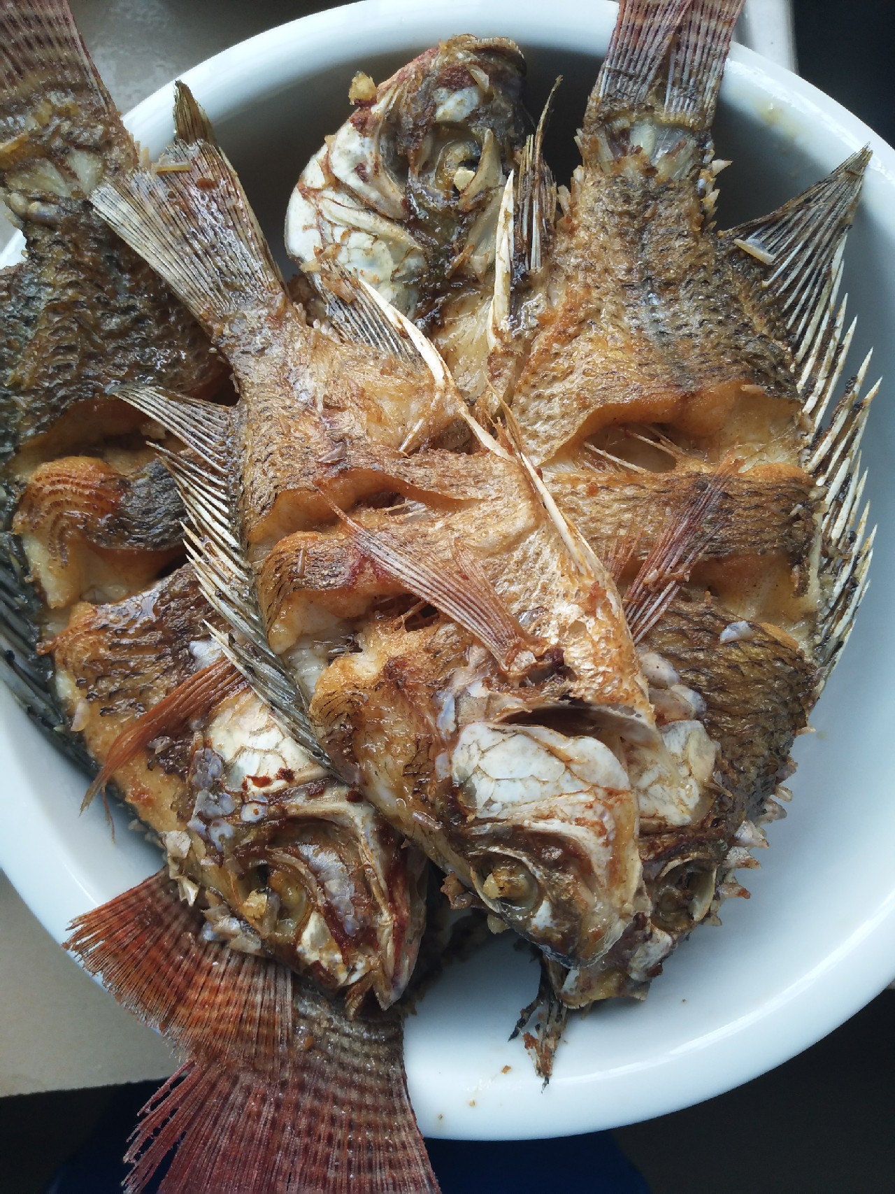 新竿开光遇到大鱼,新竿开光成功视频