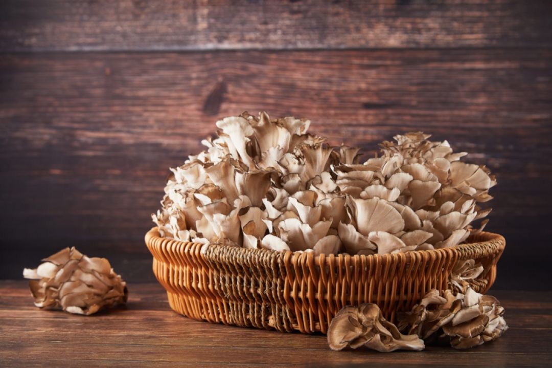 蘑菇鲜嫩,鲜嫩美味的蘑菇浓汤