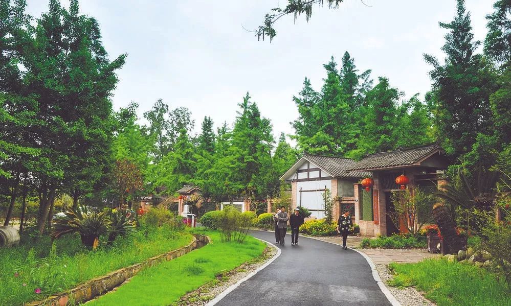 以特色镇和川西林盘为载体推进生态价值向经济价值转化