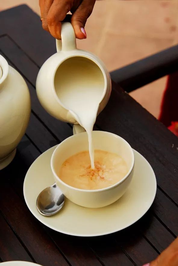 宸¤鑻辨枃,宸¤涔嬫梾