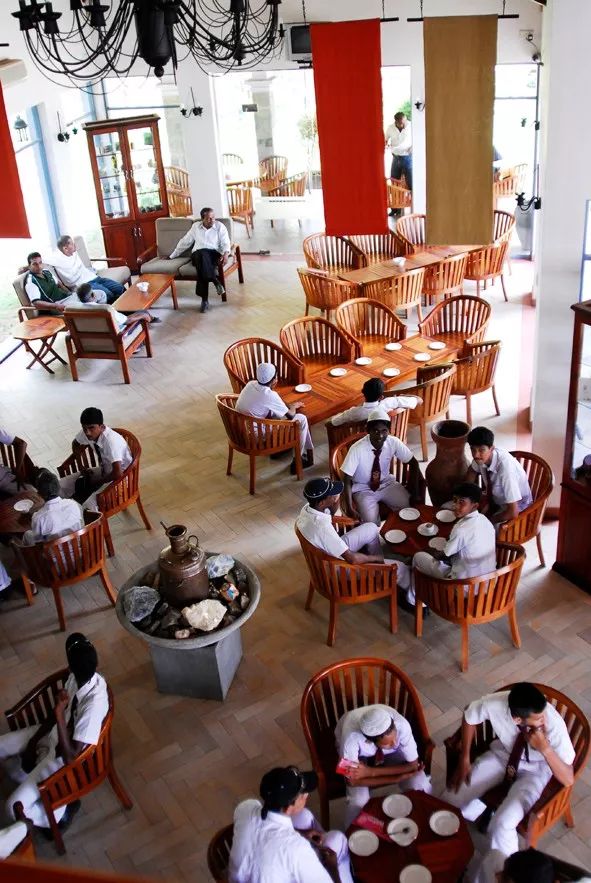 宸¤鑻辨枃,宸¤涔嬫梾