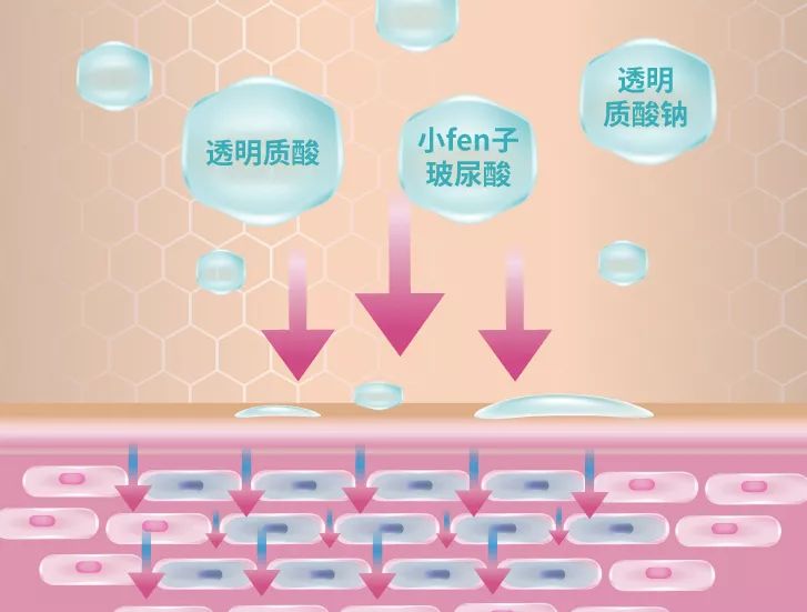 丰唇怎样让唇边更立体,适合丰唇的唇形