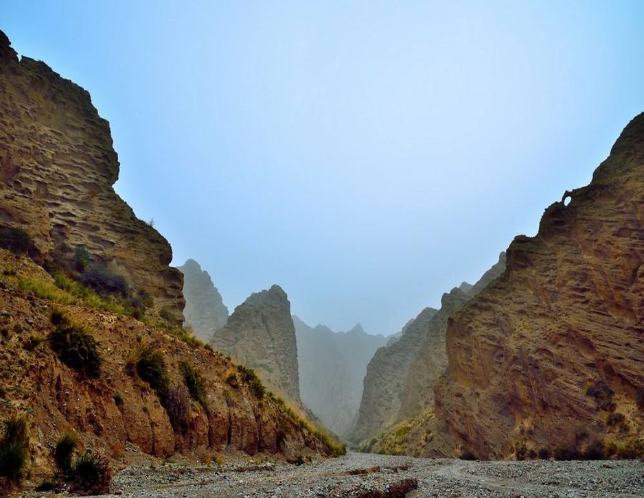 园区老师,园区老师展示视频