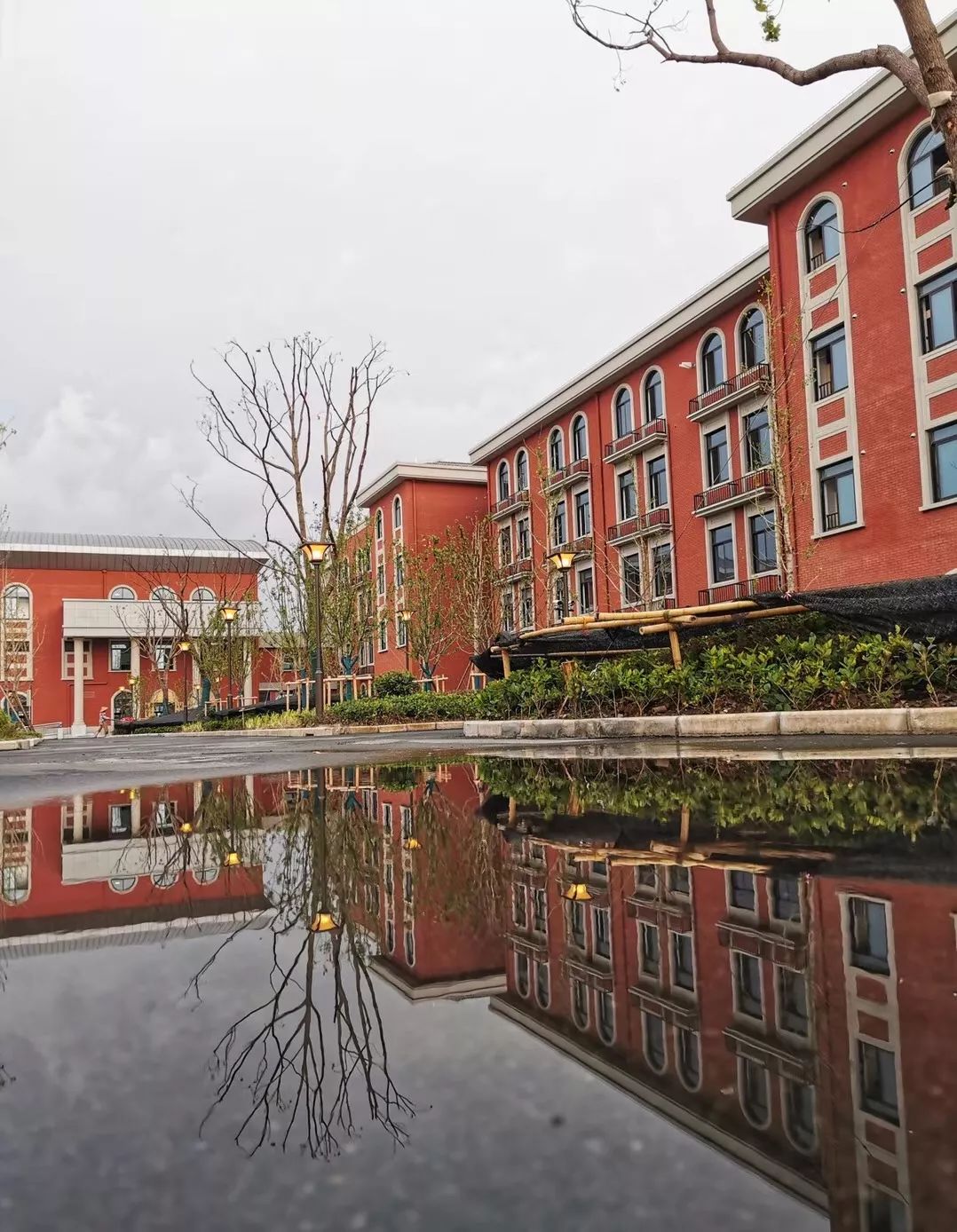 金山学校建设,金山新建学校