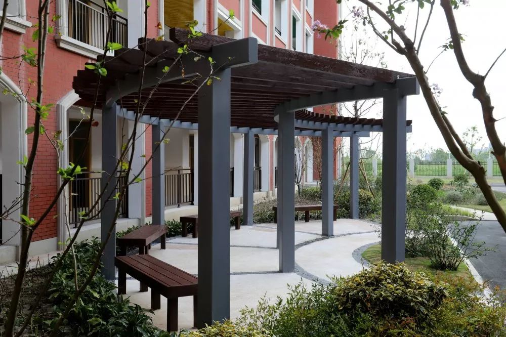 金山学校建设,金山新建学校