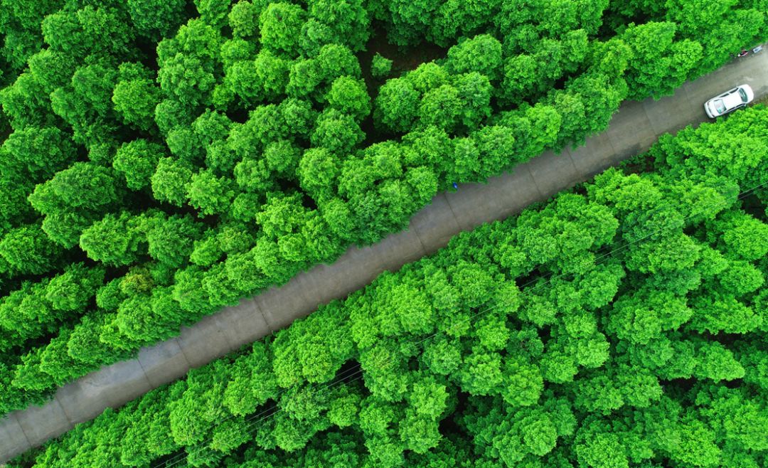 一线蹲点·太仓的生态环境越来越好，秘诀在这里