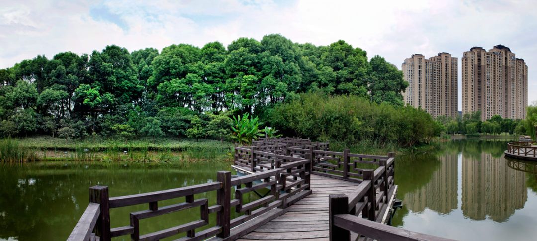 一线蹲点·太仓的生态环境越来越好，秘诀在这里